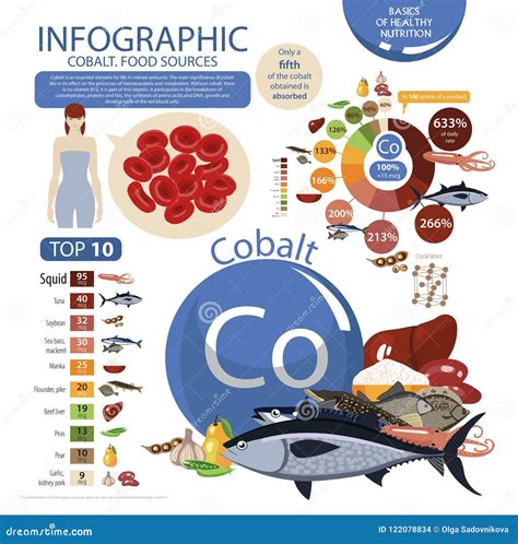 Infographics of Cobalt Content in Natural Organic Food Products Stock Vector - Illustration of