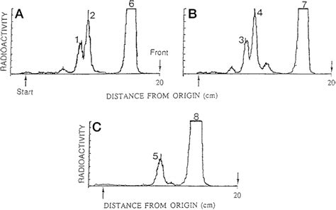 Representative Tlc Chromatograms Of And Ddya Metabolites