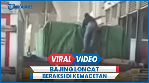 Terekam Bajing Loncat Beraksi Di Kemacetan Lalu Lintas Cakung Bebas