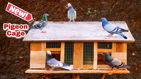 How To Make Pigeon Cage Low Cost💰 Pigeon Cage Making At Home Diy