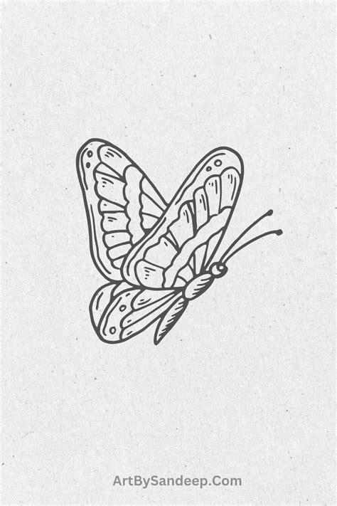 80 Easy Butterfly Drawing Ideas For Beginner To Expert Artist Artofit