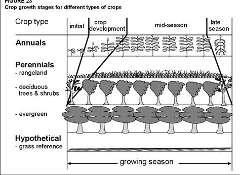 Pdf Crop Evapotranspiration Guidelines For Computing Crop Water