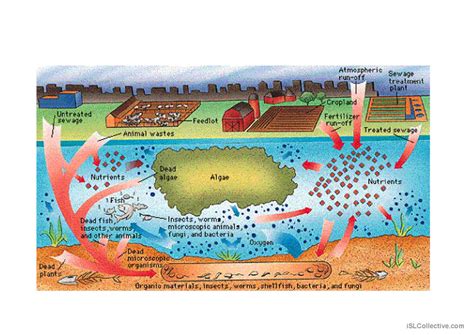 Environmental Issues English ESL Powerpoints