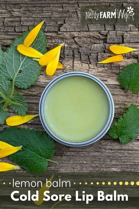 Cold Sore Lip Balm Made With Lemon Balm Cold Sore Lip Balm Cold