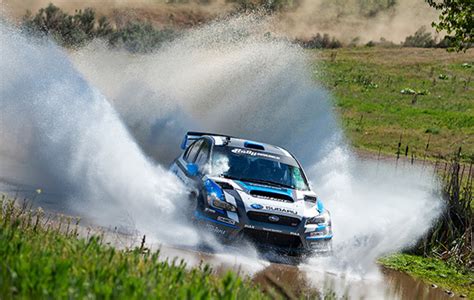 Rally Racing Subaru Driver David Higgins Rules American Rally Sports