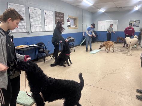 Program List | assistancedog.center