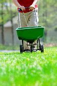 picture man fertilizing plants garden