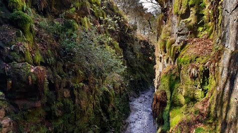 Ilkley Moor Walks: The 4 Best Circular Routes