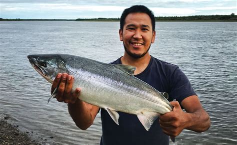 Silver Salmon Fishing Alaska Jakes Nushagak Salmon Camp