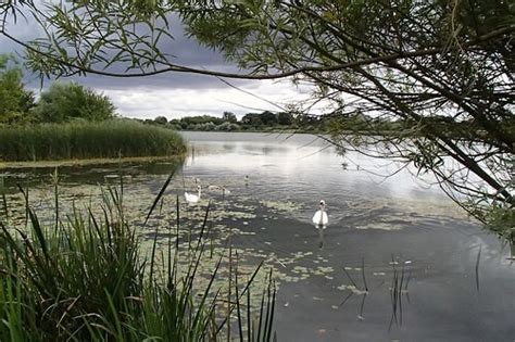 Wildlife and Habitats at Hinchingbrooke Country Park - Huntingdonshire ...