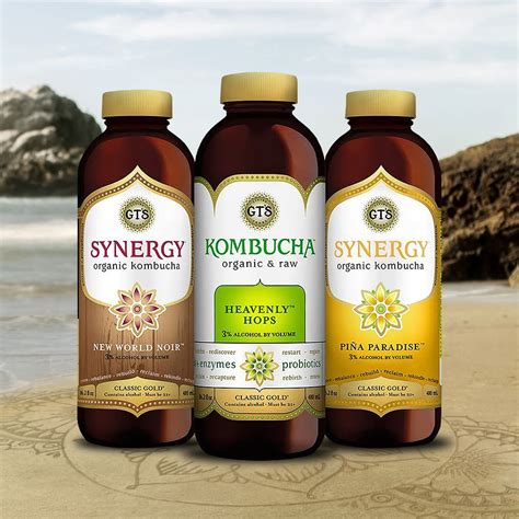 Gt S Kombucha Bevnet Product Reviews Bevnet