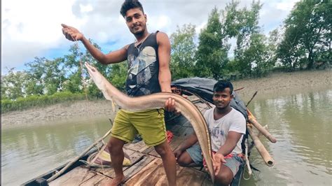 বিশাল আকারের সোনাবোগো পেলাম আজ সুন্দরবনের মাতলা নদীতে বড়শি দিয়ে