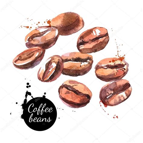 Watercolor Hand Drawn Coffee Beans Stock Vector Image By Pimonova