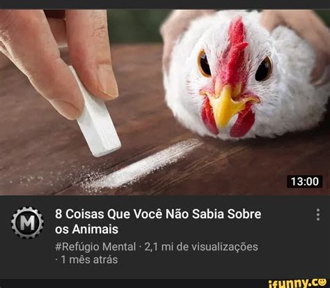 Coisas Que Voc N O Sabia Sobre Os Animais Ref Gio Mental Mi De