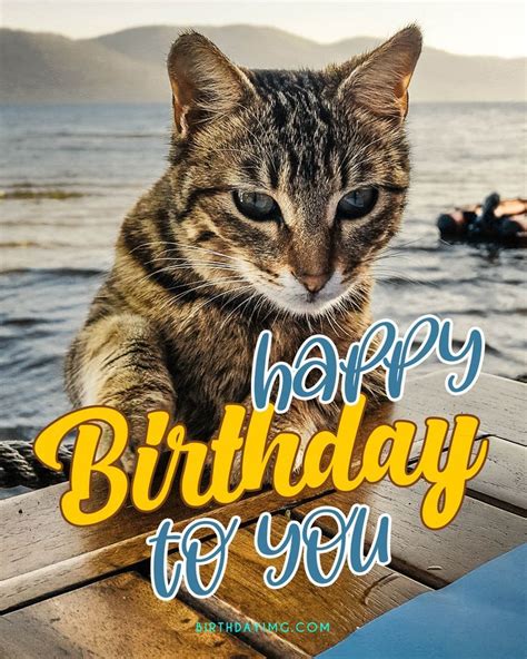 Funny Cat Happy Birthday Image