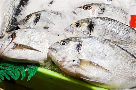 5 Consejos Para Comprar Pescado Fresco Freshcado