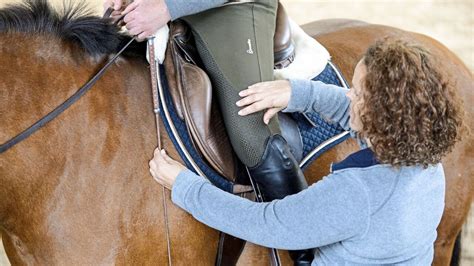 Pferd Seitw Rts Gehen Beibringen Information Online