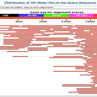 Graphic display of nucleotide blast (blastn) results for human SK2 ...