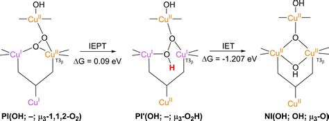 Challenges In Elucidating The Free Energy Scheme Of The Laccase