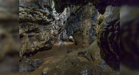 Mawmluh Cave In Meghalaya Listed As UNESCOs First 100 IUGS Geological