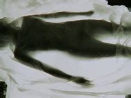 Naked Julia Cencig in Kommissar Rex Der schöne Tod