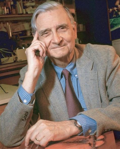 Edward O Wilson Kimdir Linc Heap Haber Ve Blog