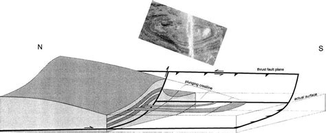 3D cross section of the plunging fold at outcrop # 9. The grey ribbons ...