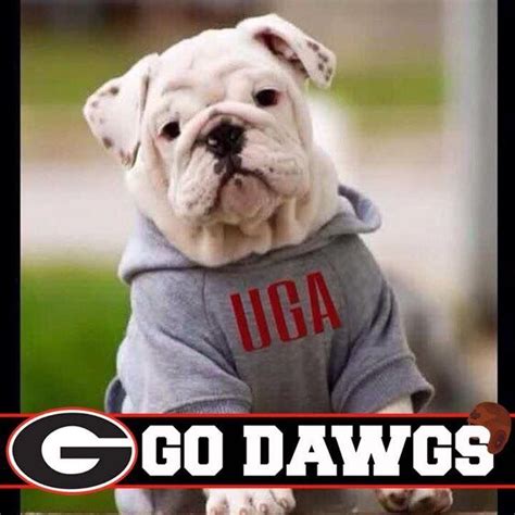 Pin By Ashley Freeman On Ga Dawgs Wb Doggs Georgia Bulldogs Football