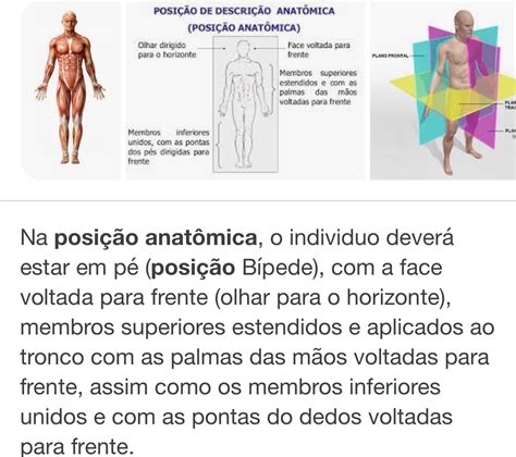 O Que é A Posição Anatômica BRAINCP