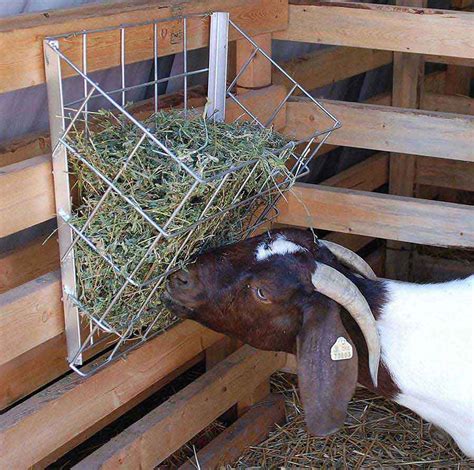 Metal Hay Basket For Goats North Star Goat Sheep Goat Sheep