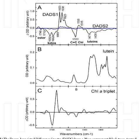 Figure From Time Resolved Ftir Difference Spectroscopy Reveals The