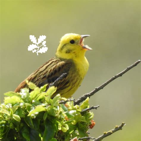 Global travelers need to know what the current nyc time implies for flights 35