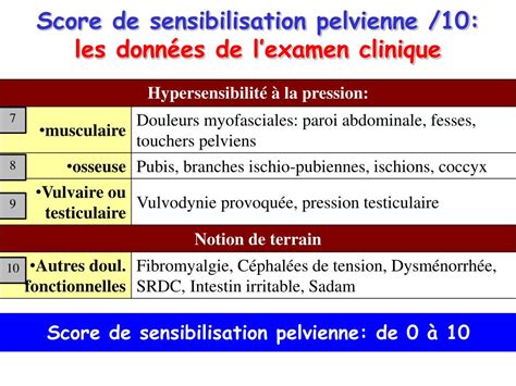 PPT Jean Jacques Labat Centre fédératif de pelvi périnéologie CHU