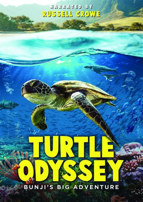 Turtle Odyssey – Dreamscape Publishing