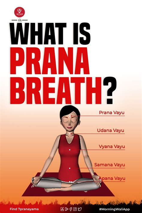 What Is Prana Life Force Five Prana And How It Flows Through The