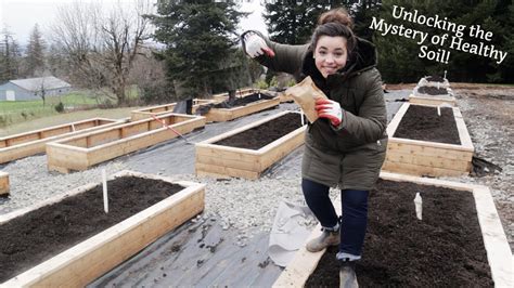 This Could Change Everything Unlocking The Mystery Of Healthy Soil