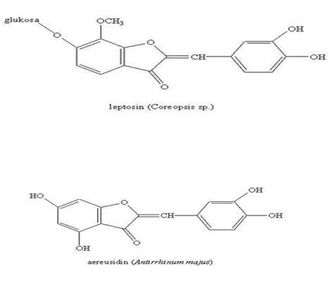 My Chemistry Journey Flavonoid