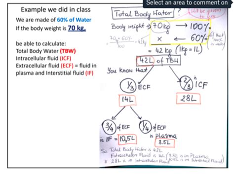 Anatomy Lab Practicum Test 1 Flashcards Quizlet