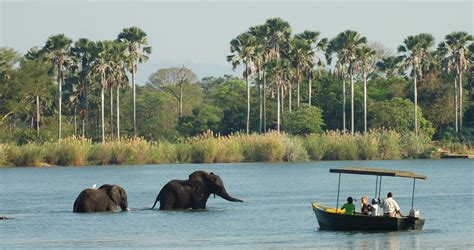 Malawi Safari Tours