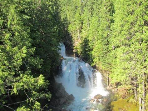 Crazy Creek Suspension Bridge Sicamous All You Need To Know Before