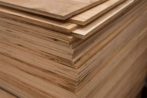 Poplar Plywood Boards For Furniture Size Sq Ft X At Rs Sq