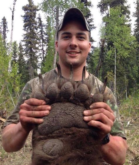 🔥 massive Kodiak bear paw next to man : r/NatureIsFuckingLit