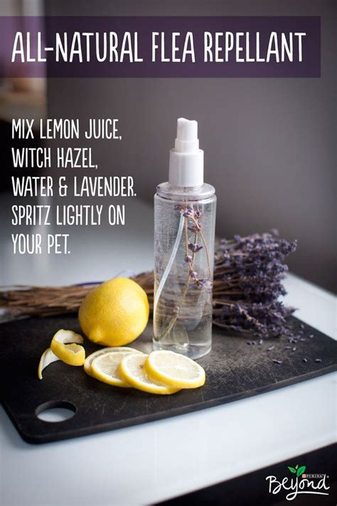 Did You Know That Many Ingredients In Your Garden Act As All Natural