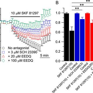 Effect Of Skf On The Firing Properties Of Small Drg Neurons A