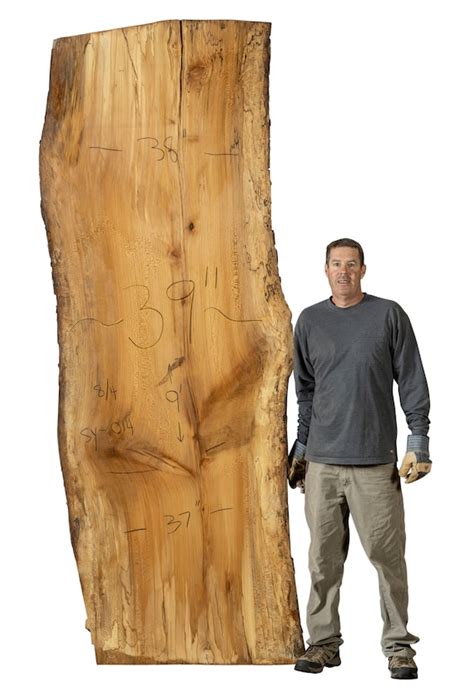 Foot Spalted Sycamore Live Edge Wood Slab Foot Sycamore Etsy