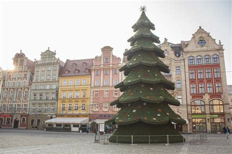 Nowa choinka już stoi na Rynku we Wrocławiu Kiedy zostanie