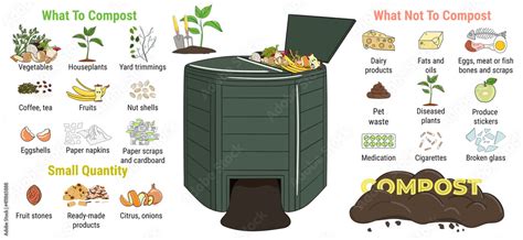 Infographic Of Garden Composting Bin With Scraps What To Or Not To