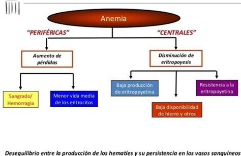 Elabora Un Mapa Conceptual De La Anemia Brainly Lat