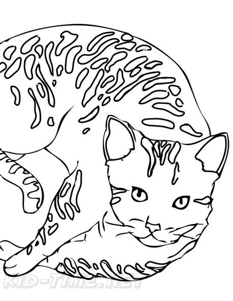 Bengal Cat Coloring Book Page