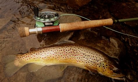 Fly Fishing Streamers Trout Haven